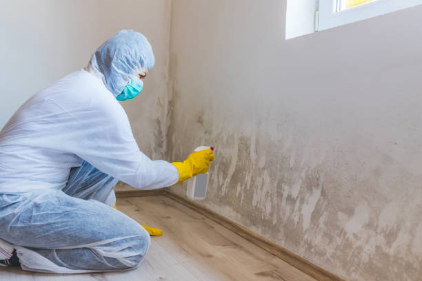 Bathroom Mold Removal assessment in Chapel Hill bathroom